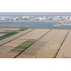 杭州湾现代农业开发区农业综合开发土